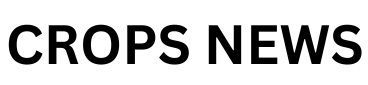 PIX News